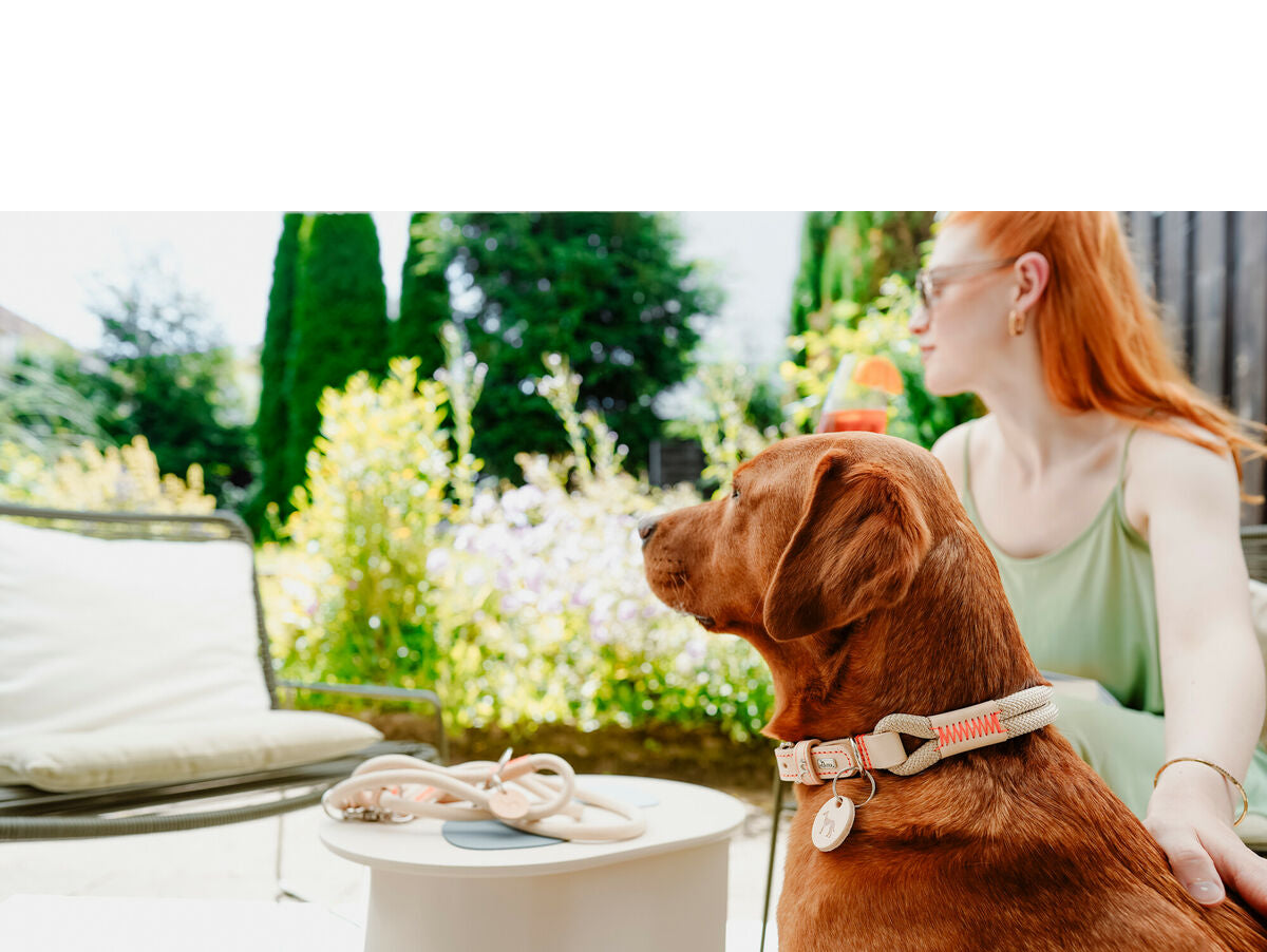 V5H0ECA845407E1C23CA825DCA91EABCDEER5582795P5