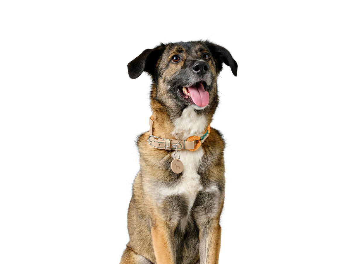 V5H3E76832AF8641BD50BA3667ACD7EAAC5R5575444P3