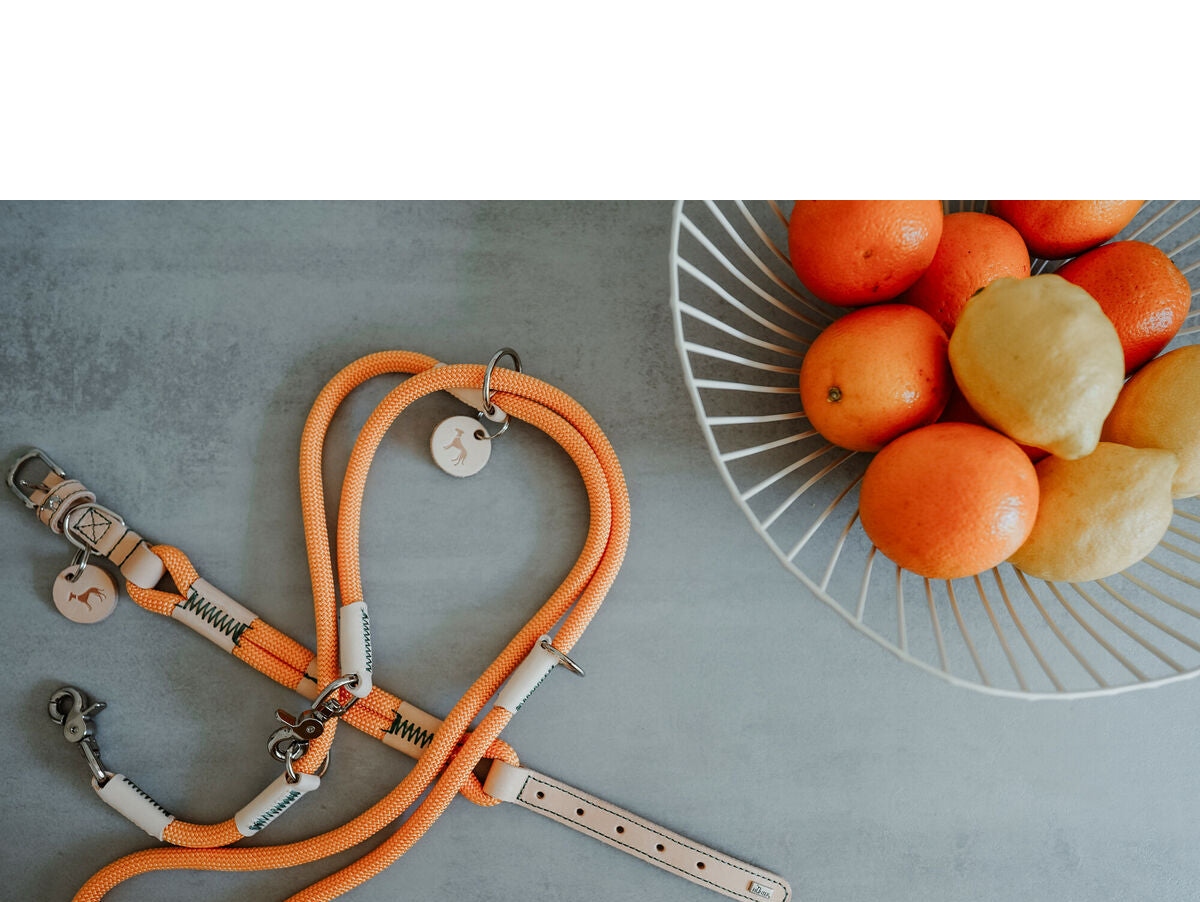 V5H6DFAE8297D94D55549E44A9E777B1B6DR5575452P6