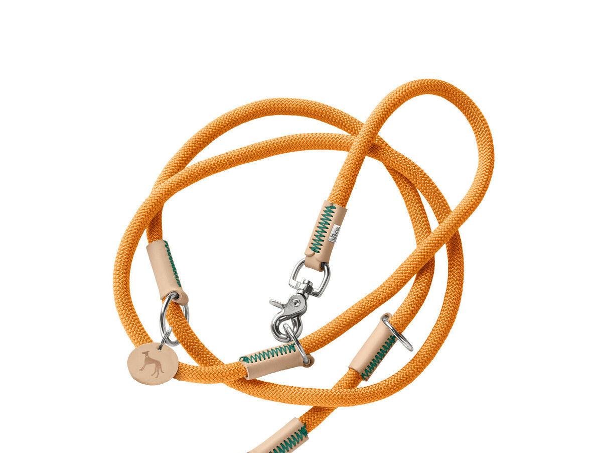 V5H5C224D462B57274E3E8B55AD32A66844R5582798P2