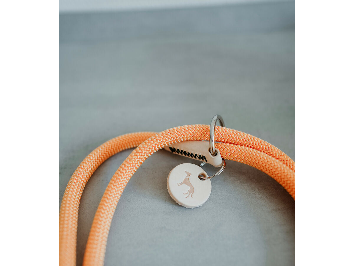 V5H2A8C29F92ED014329B068DD709A2499ER5582803P7