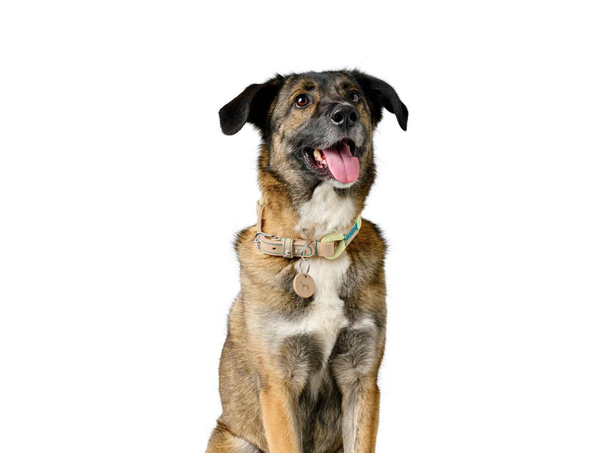 V5HB5D66971CADF5DB3A589C8F864CF8D69R5575506P5