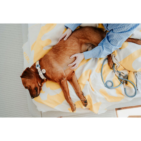 V3H94B02227748DA50F0BE1ED661F79F0C8R5575486P3