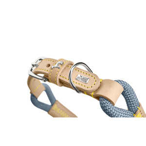 V5HCBF38F6A3A6A009BA9F341118143CA0CR5575427P3