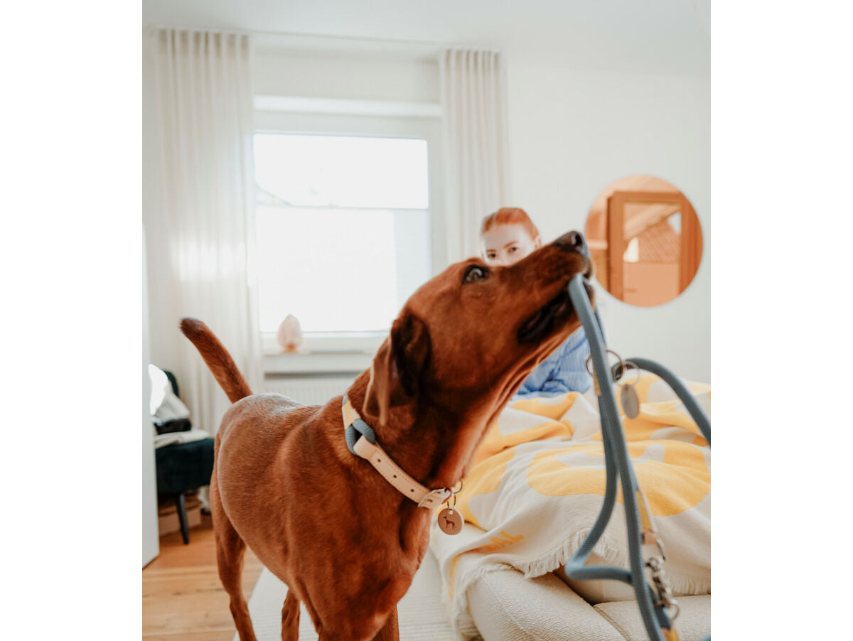 V5HB46DF13EB82D2C4D03F41DE35C3AD5B8R5582811P4