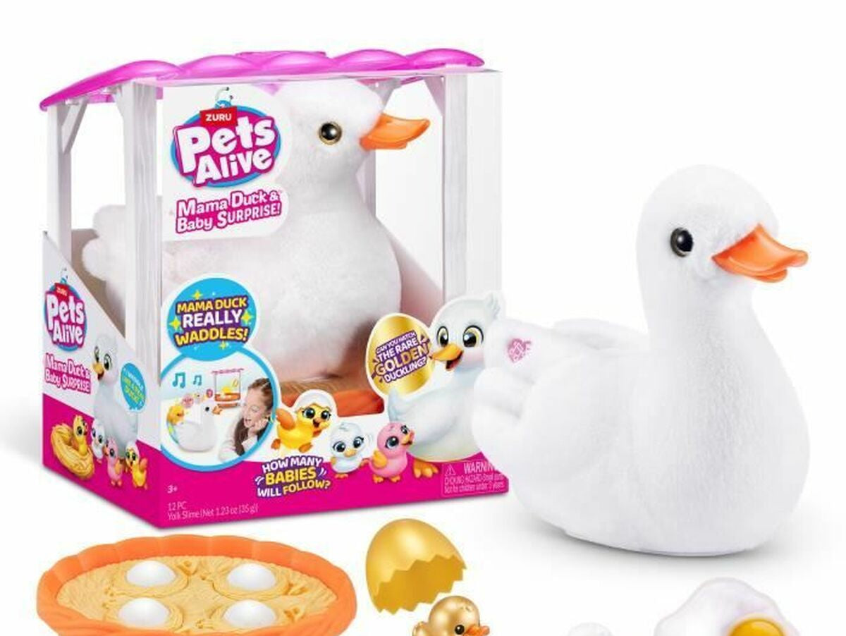 V6HEE3758DC5BA8ABDCB7DB602D64761FF2R5136088P1