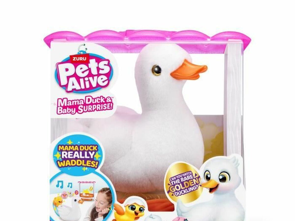 V6H1206144B03AF264FD17D1985A0A23213R5136089P2