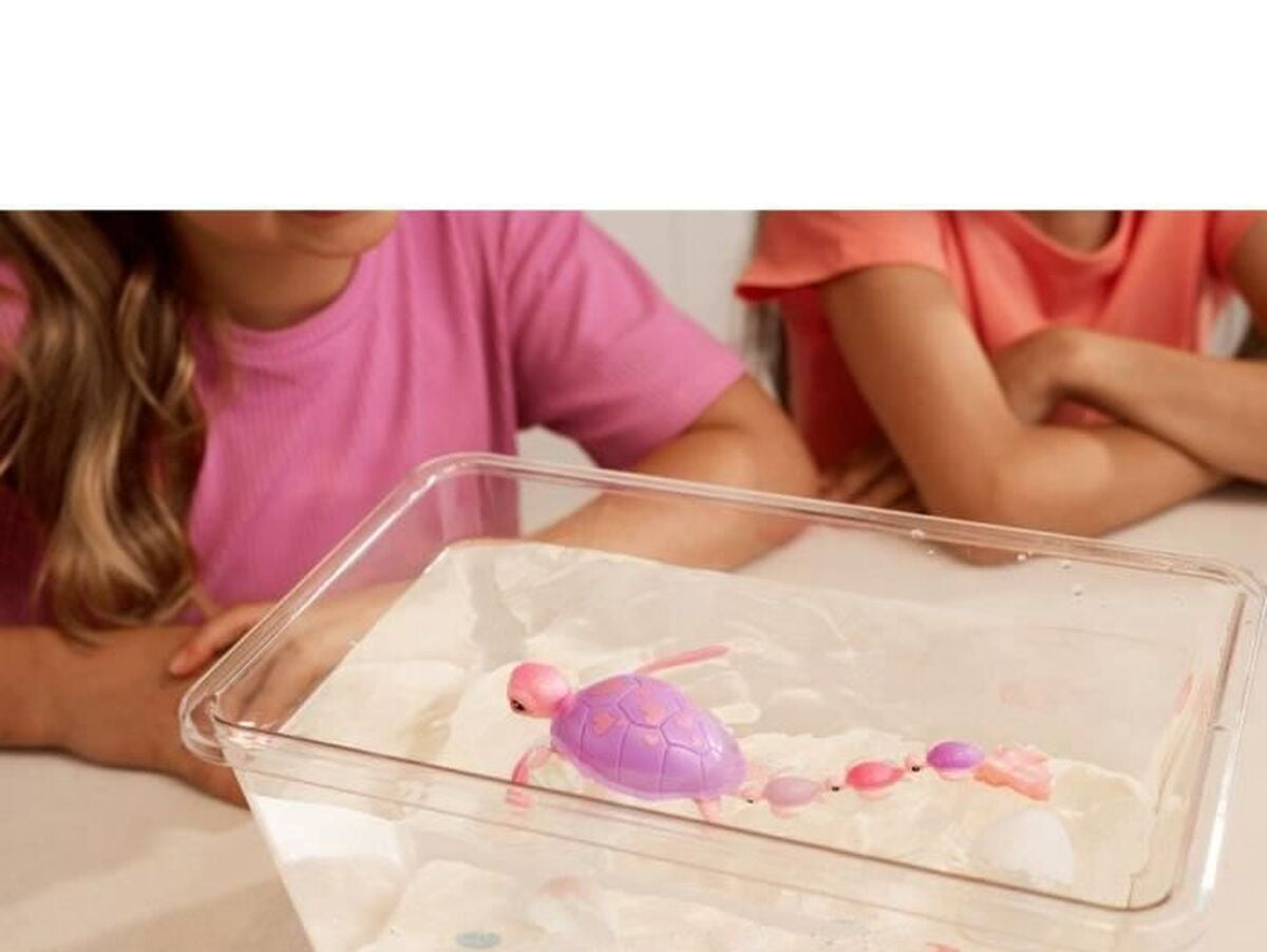 V2HE68BDDA96FF2876D6E73F928C8F5AB87R7487236P5