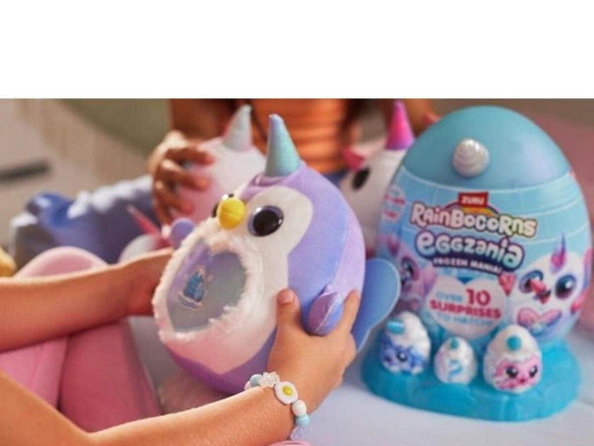 V2H85FB2A951B62C0BC1D53F71D9F948EC1R7487252P4