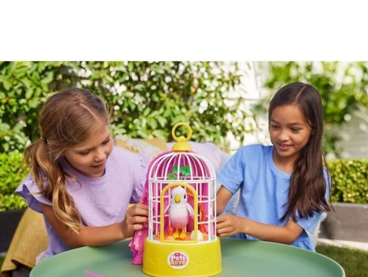 V2H04C4CA20245C4D0D53426FAB51078A90R7485073P6