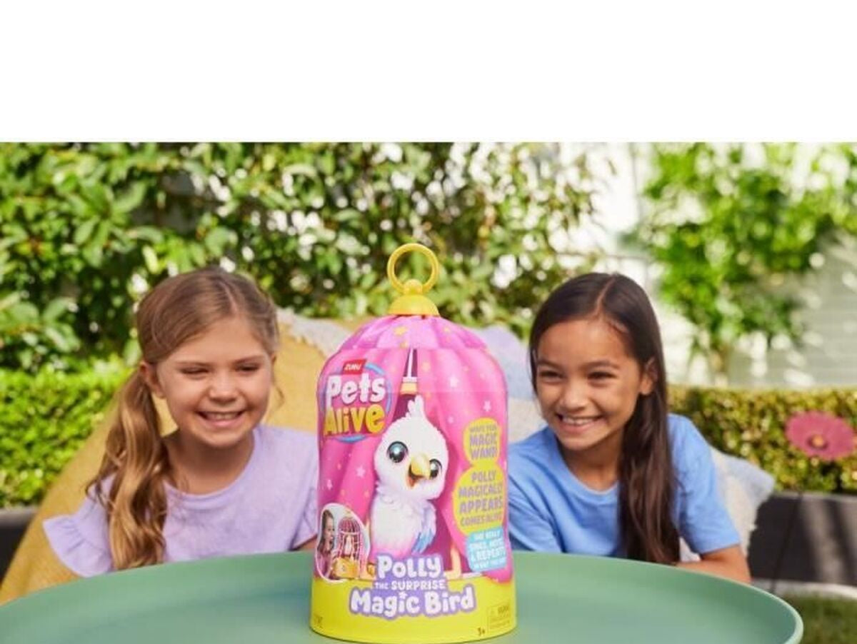 V2HEE79FD66A87B380A9BB56B8B8E879009R7485074P7