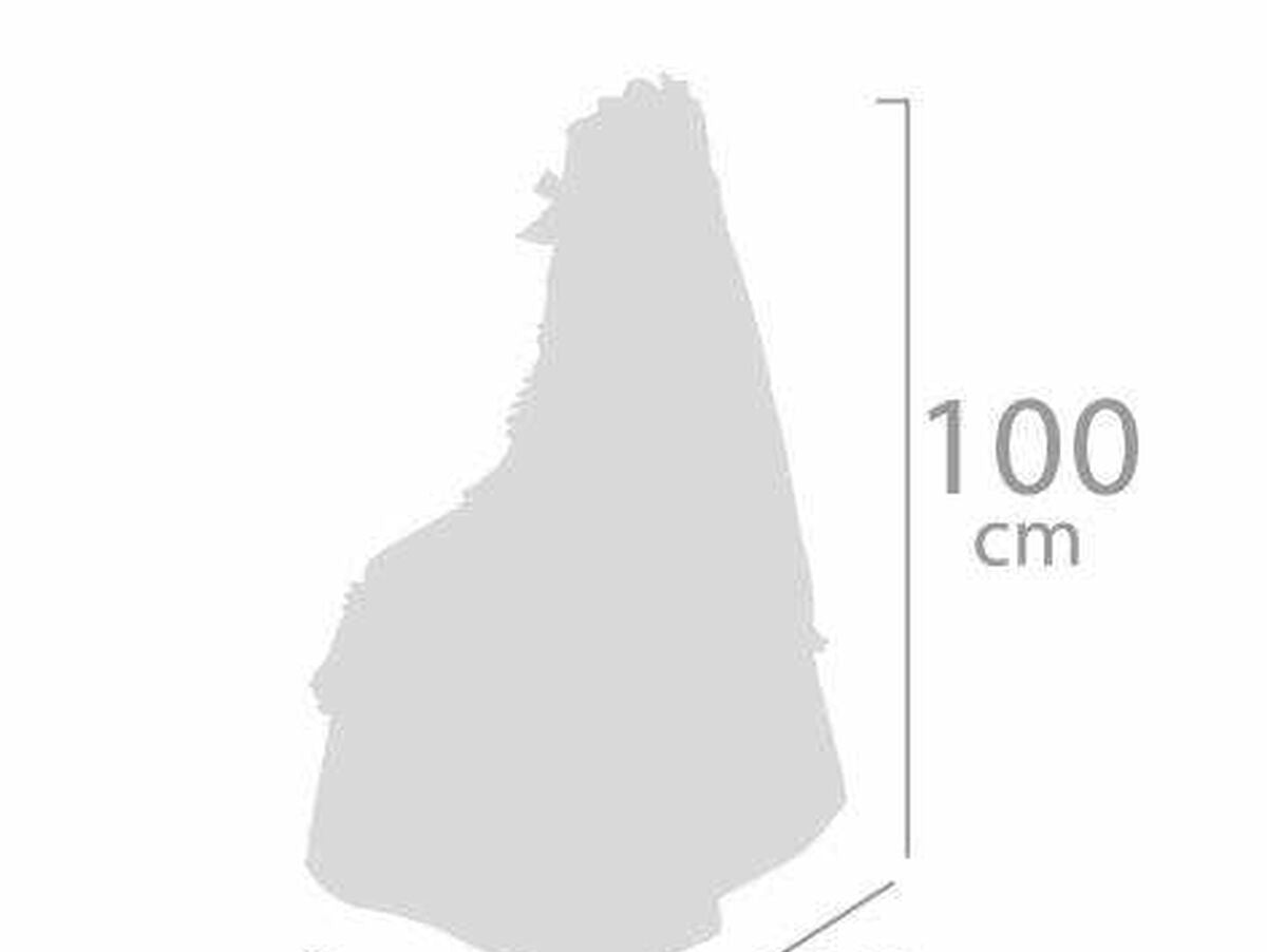 V9H2C80E157291CE4A297D8C0C00415257FR7064788P5