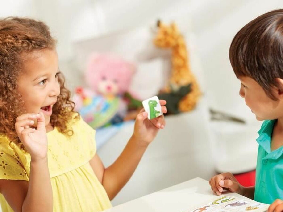 V5H53C49ACF385787A0879965FF286F4C28R4375495P4