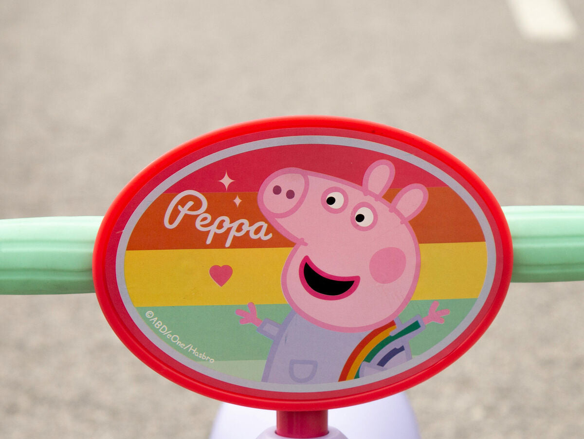 V2HEA04E3C3B24F10003D1095EED94F9071R7502841P6