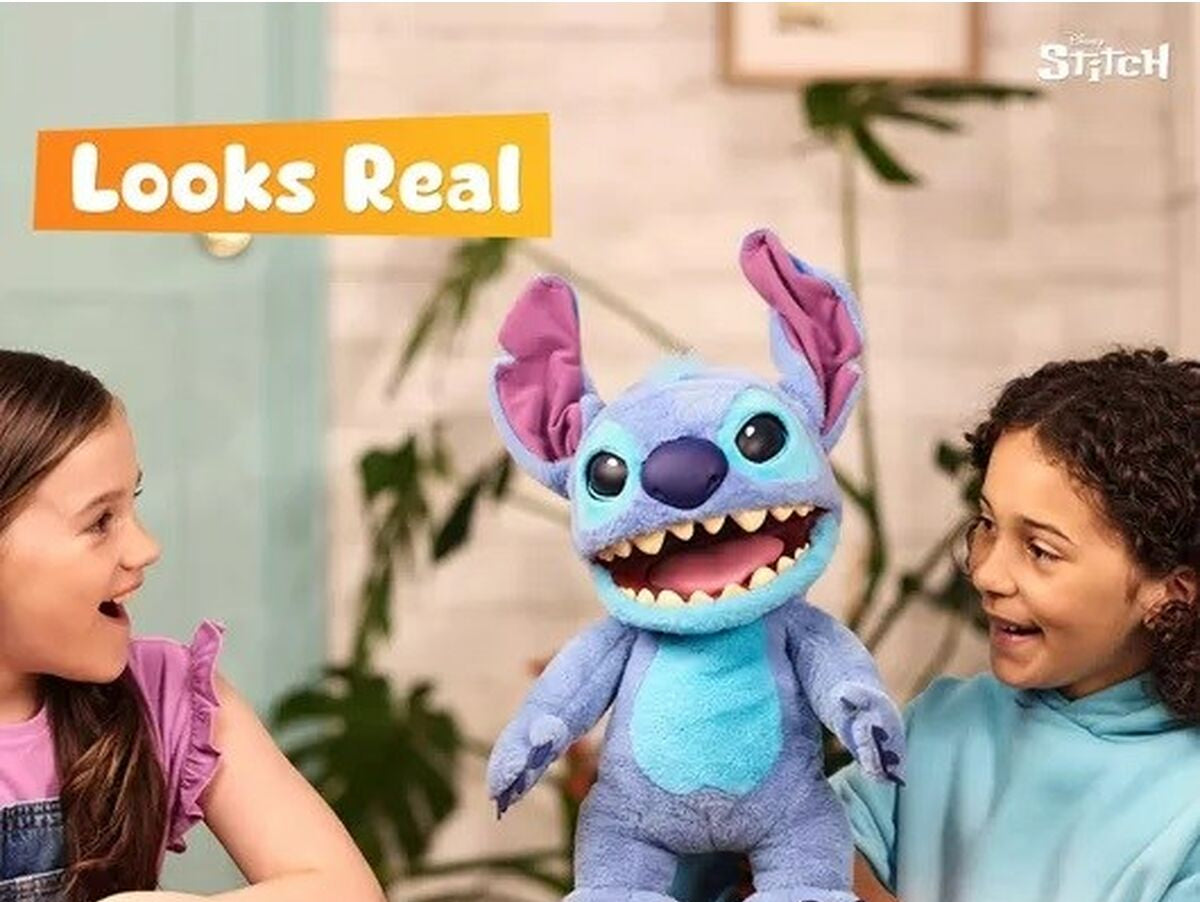 V10HB2CC1277A9AA6A10E503B036E086790CR6981279P2