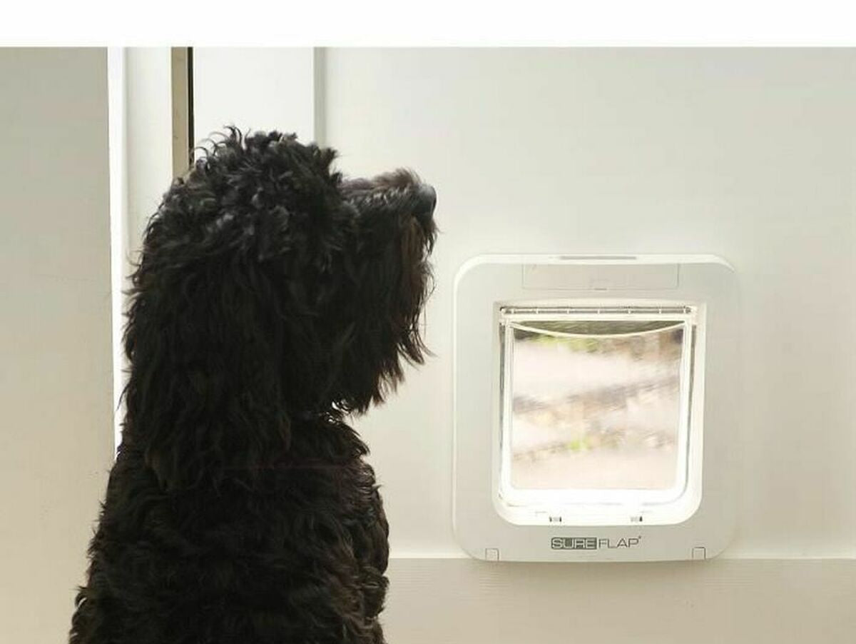 V9HB7994506F60AB8960A3AA4F8C9E77DC0R3745254P4