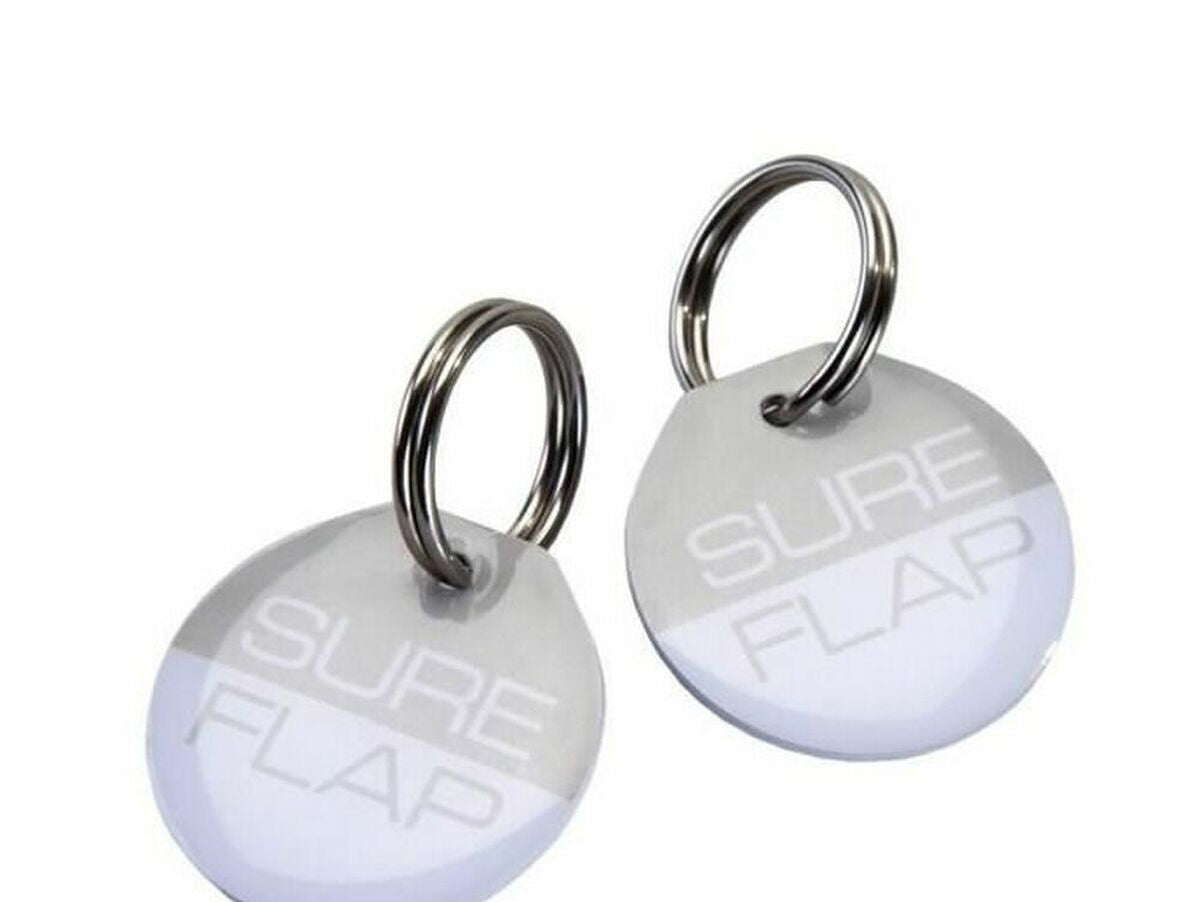 V5H6F79A77FCA4B8F0675D088B6A163626DR4094993P1