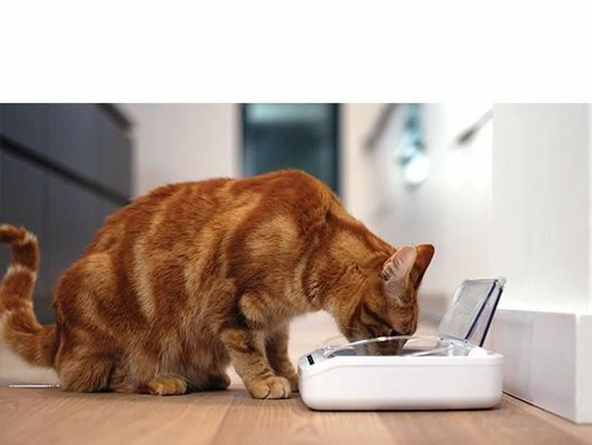 V10HEC115072EF8545A2EB7FCC90AA5DEF18R6670298P3