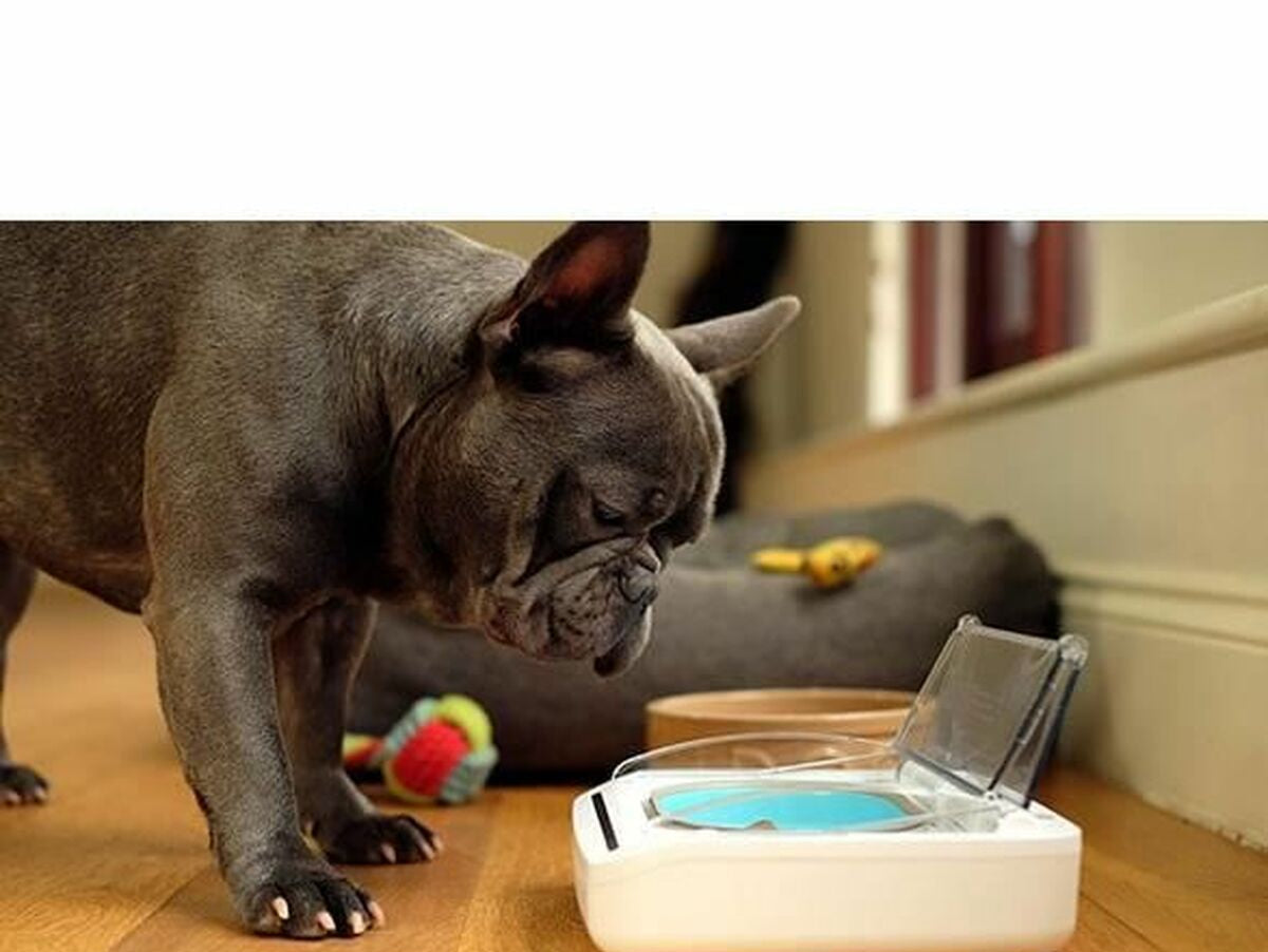 V10HCD5C9DD9753DACD089878B23C868F5EER6670300P4