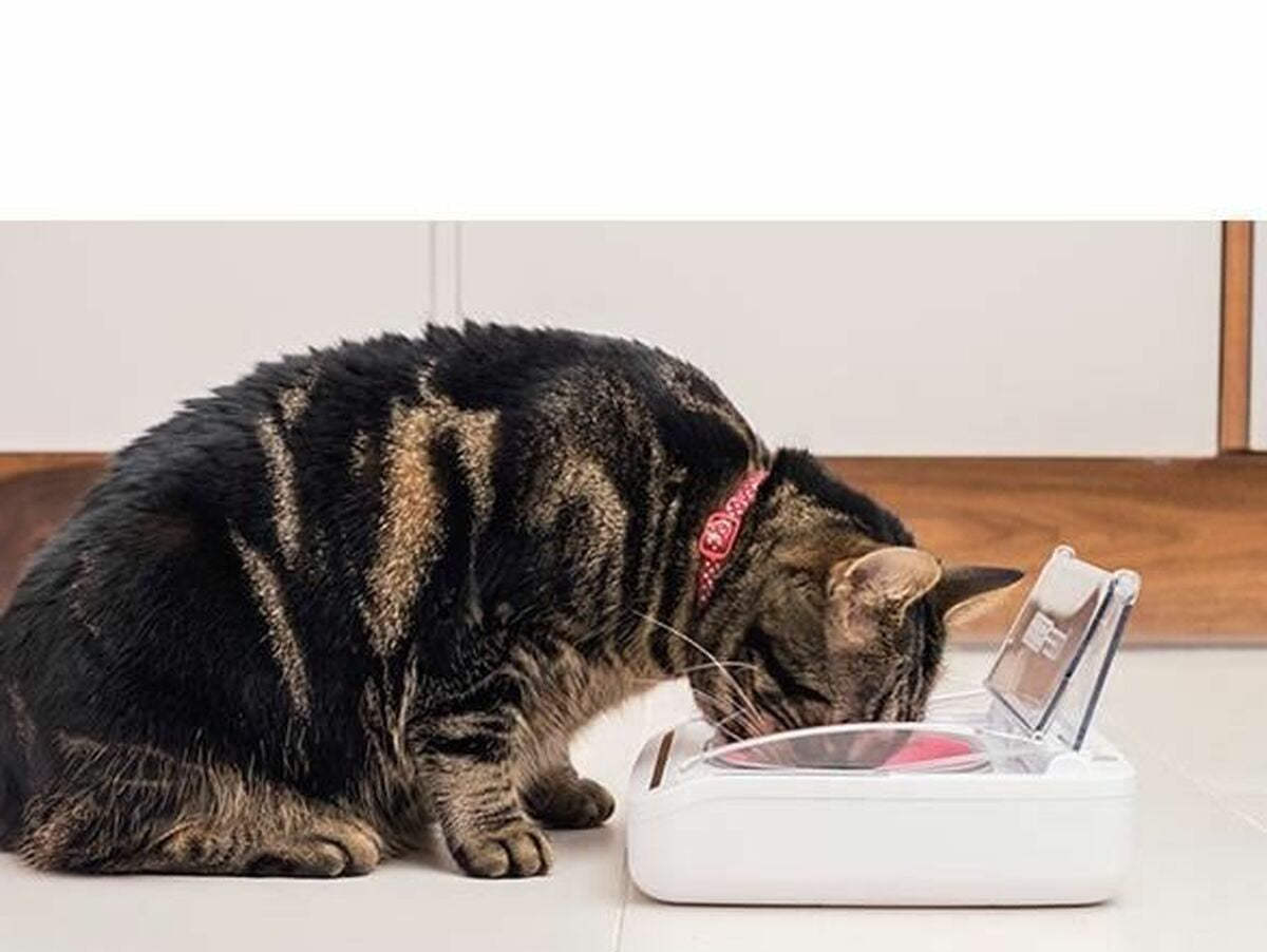 V10HBFF002E624DDE0A0D0F49C2F66C7F8FCR6670302P6