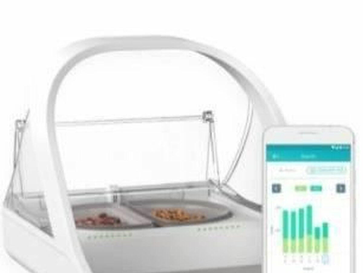 V8H739486FDE788217DB1B6F881AE4AD151R6690550P1