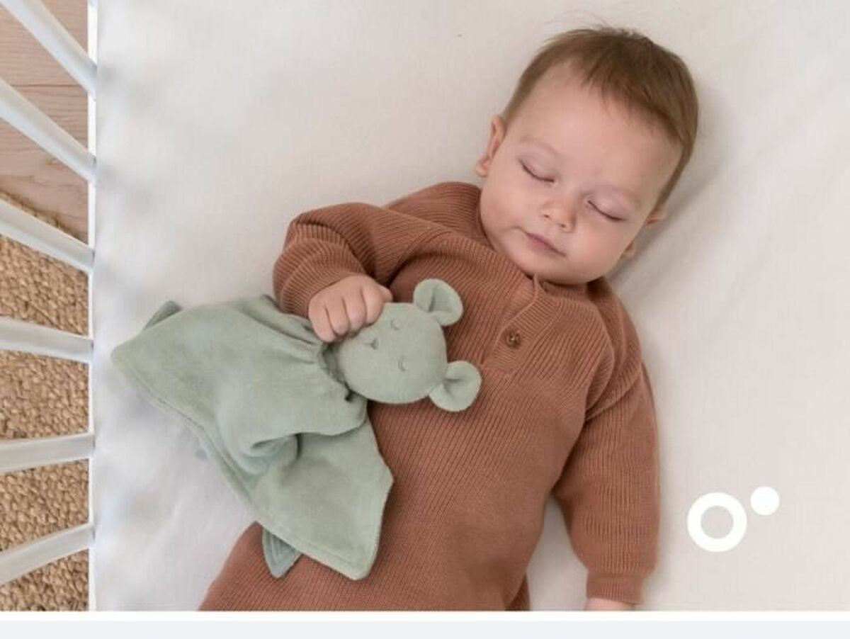 V5HD556782227F2E7A9A7850C2988F98281R5169276P2