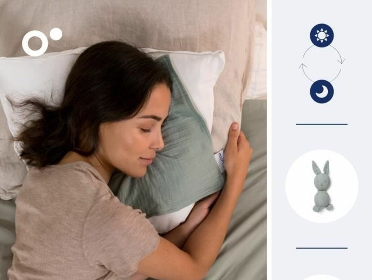 V5H4BF2A2826CBC7C8024127FF62A11CEFBR5169277P3