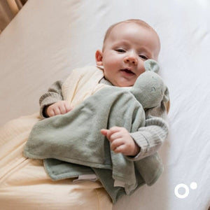 V5HF6F6699E06A03E0DF5F70A1D1BEC6BD8R5169280P6