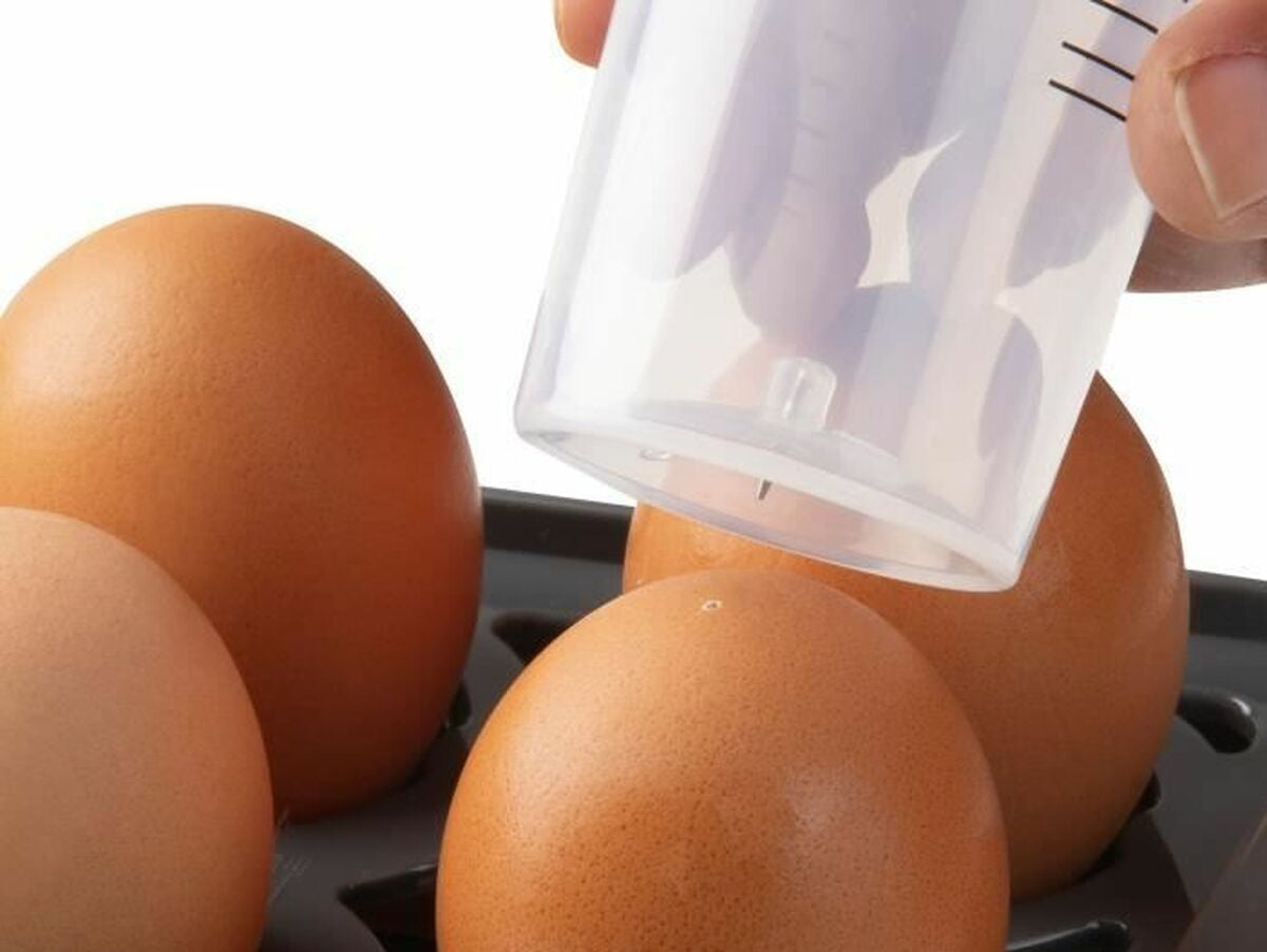 V5H9E19752FC8E4FE00386199824084A0E6R6116587P5