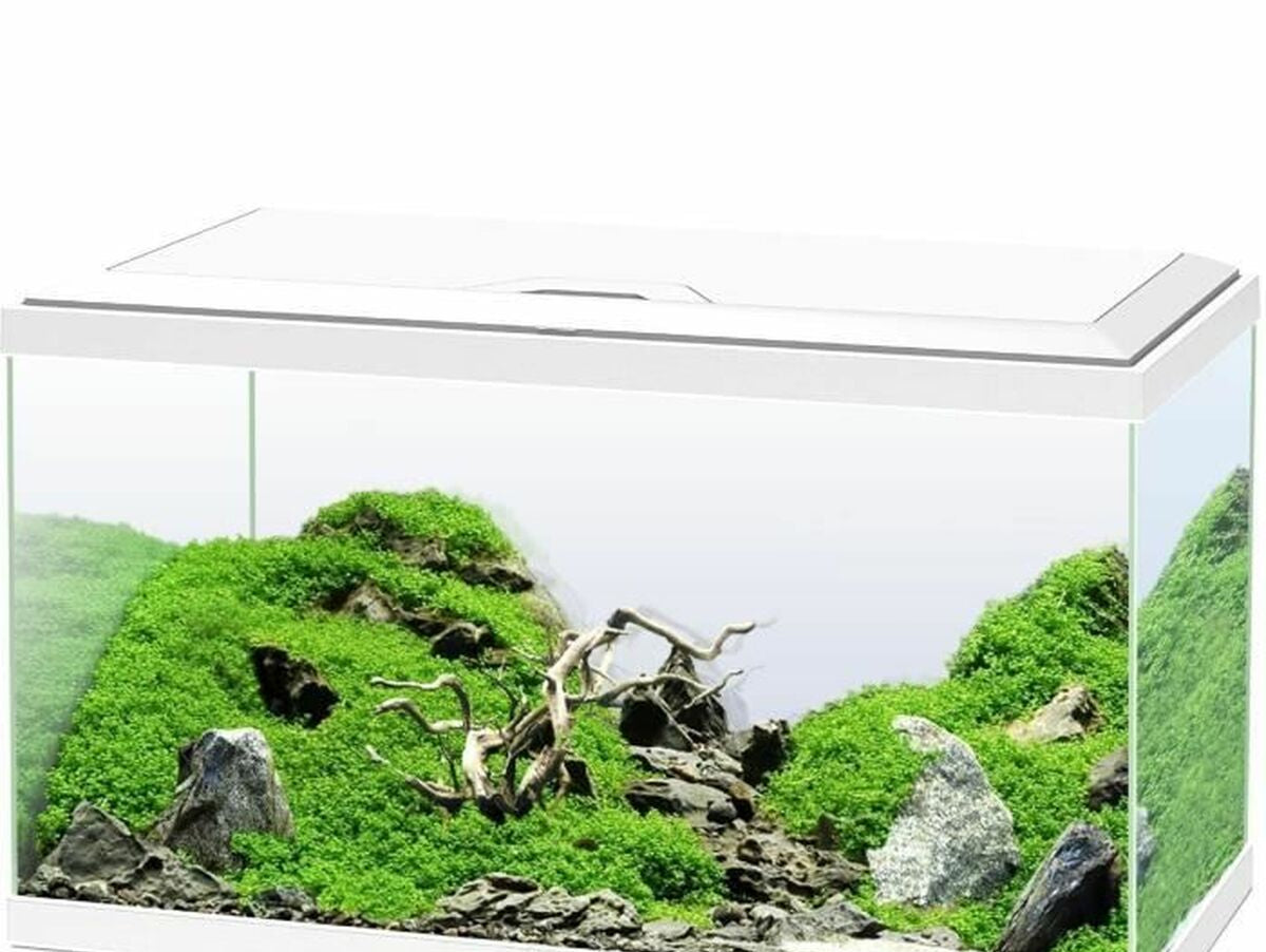 V5H120E09CBFDED9A3BCC59B10D6D5676A7R6803782P1