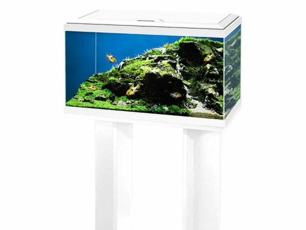 V7HE41298E8482381F99B51D7149FA10C08R6818723P3