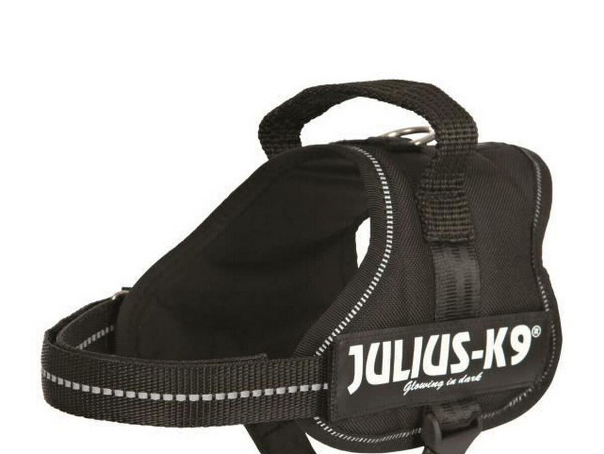 V7H0E0CF03D36A76FC9AC94CD30FF7BEF56R7451265P1