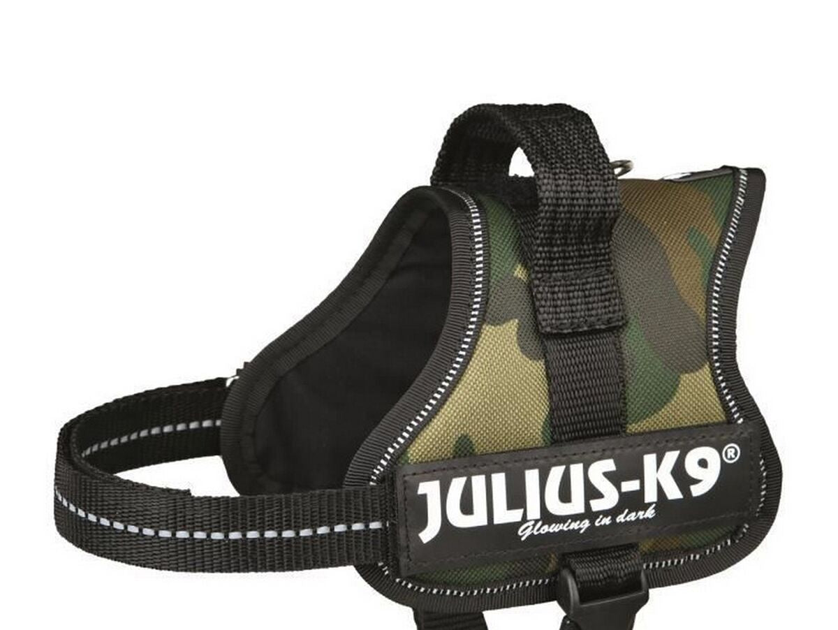 V7H2D22BFD12FCDBF702F066329822CDEDFR7446169P1