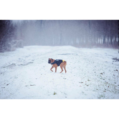 V5H4022C0BBEF08A5F2EFD3802D81FC5343R7445350P2