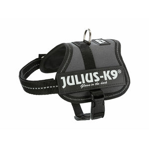 V5HA4CBE7B4F49E6A2D637CEF23246044DAR7446868P10