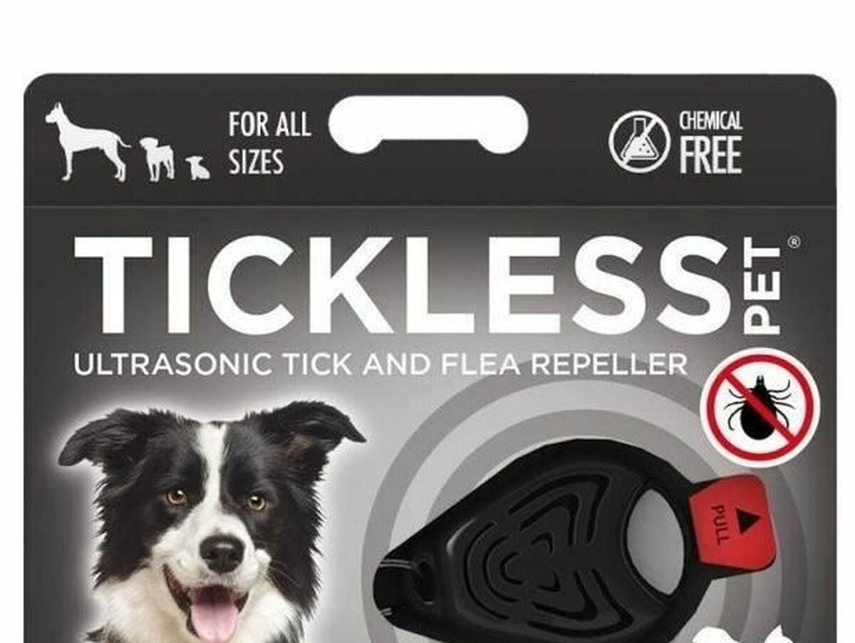 V5H2EACE303544A2BFB7C0E3A354B0D9CFBR5763326P1