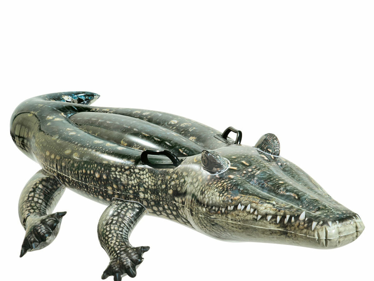 V8H135B5AD597ED615AD7D8C1E6E326CC83R5323100P1