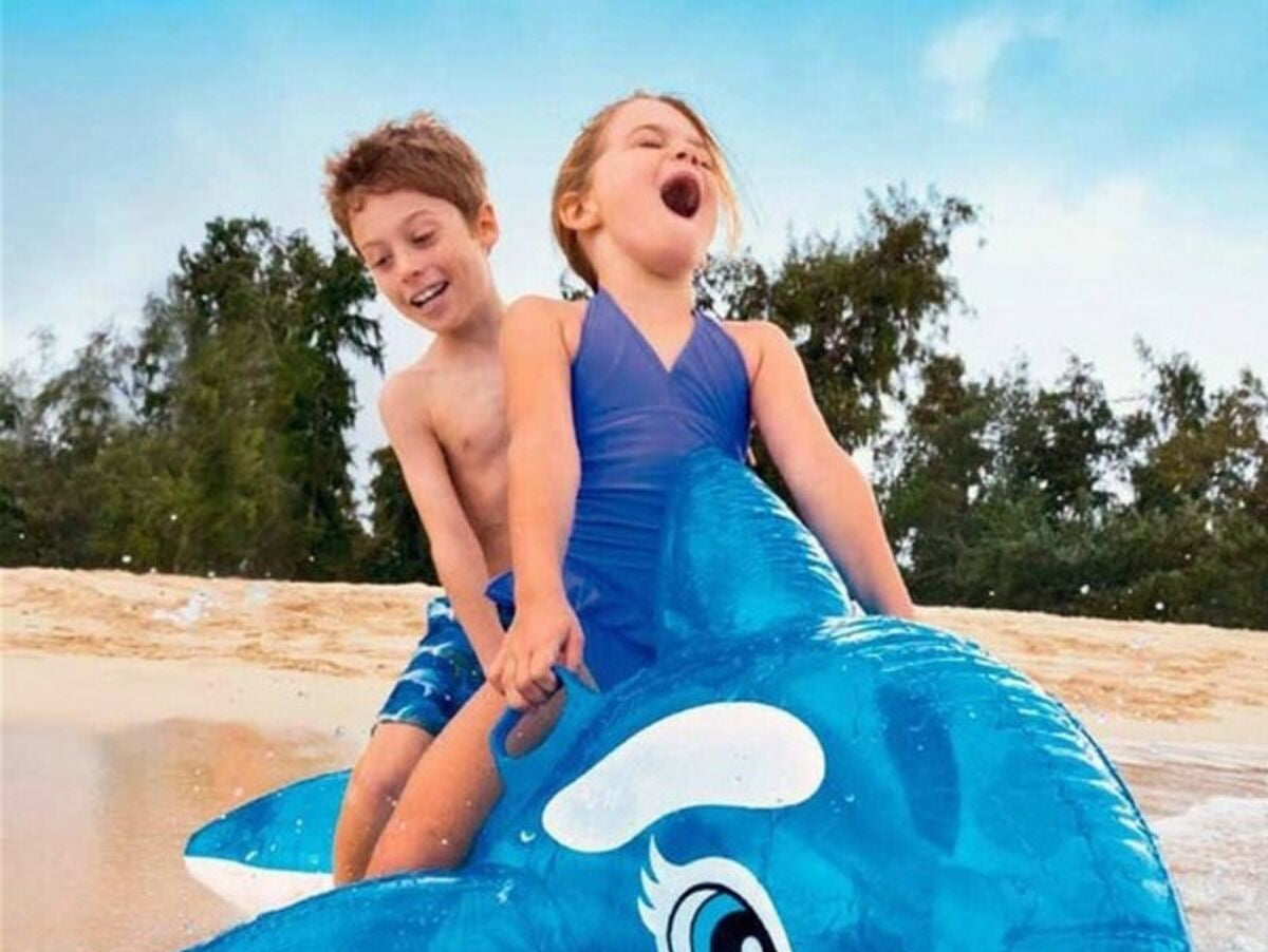 V14H99148CC72598B326614E91E5C7F4112ER5683259P1