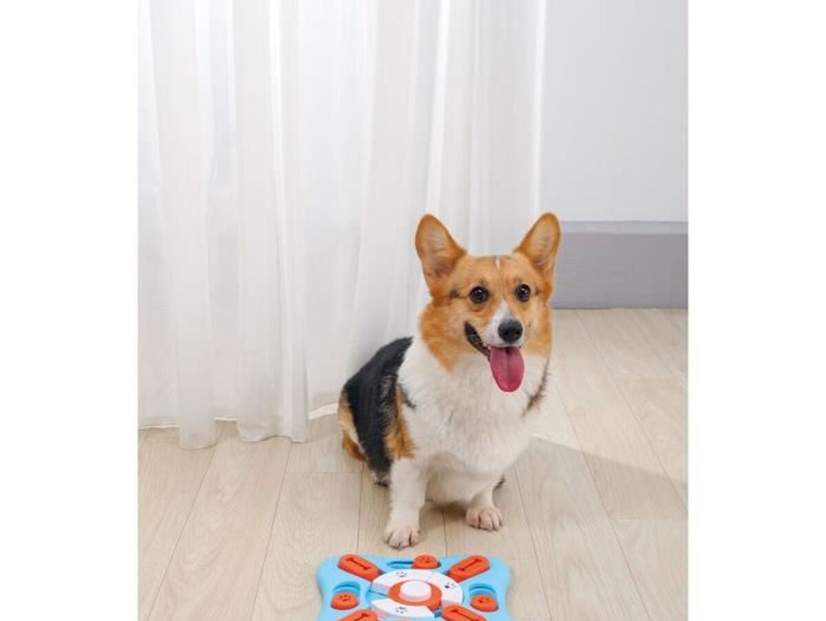 V2HFF04887B8FFBAEAA0A128D0F0AEA6DB9R7436776P5