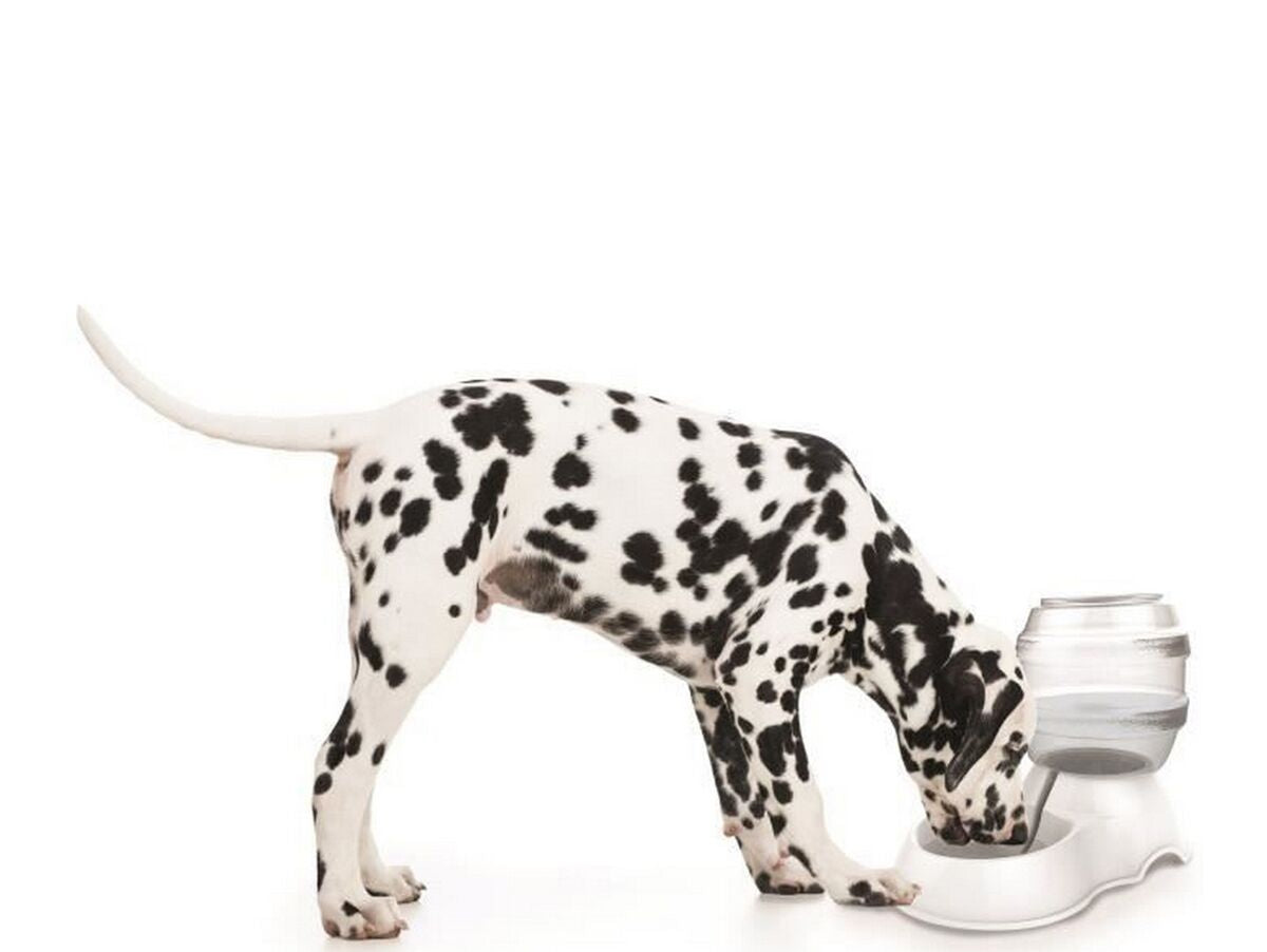 V8H1E59789B4E8601E95245C2212FC32551R6251457P2