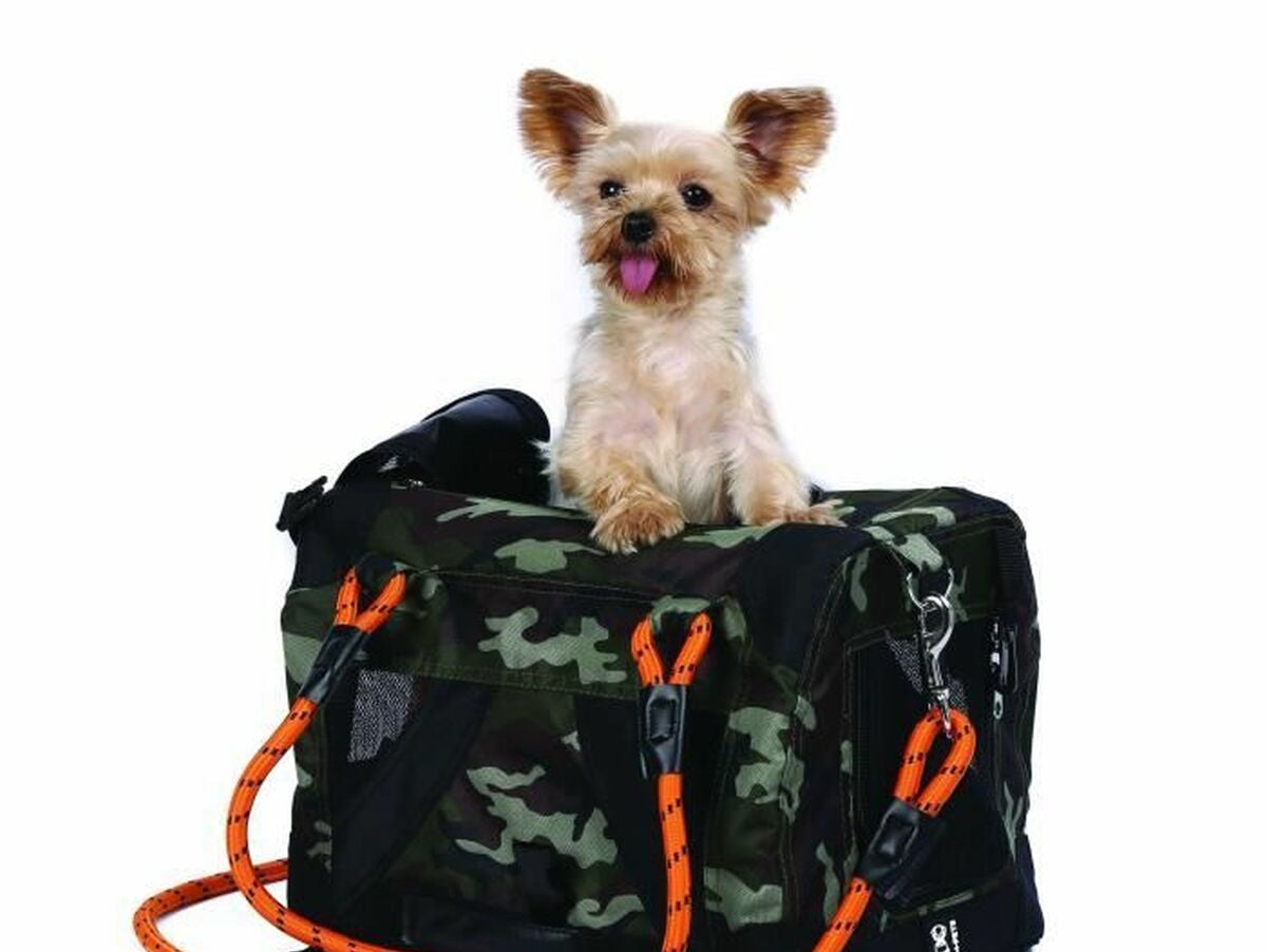 V5HD1F8A208ACA0E7C4DF9148F27691DFABR6234314P1