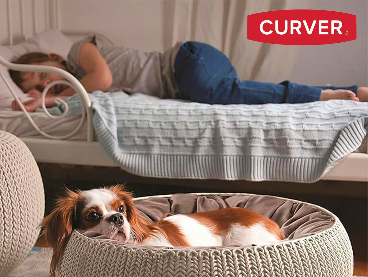 V5HB18F4FCB2F7FBD8B8A7A523709D1FC0BR5644504P2