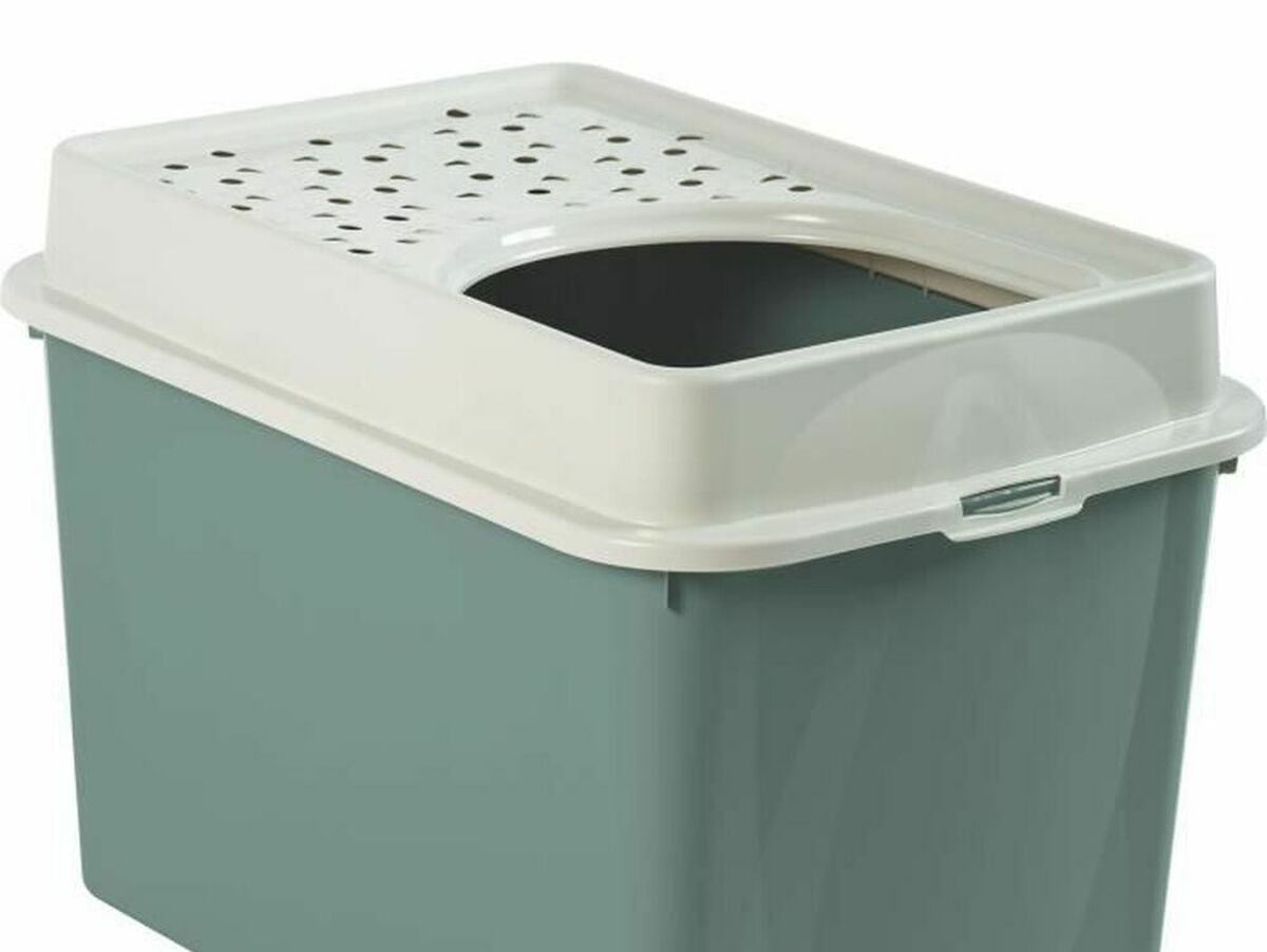 V11H6493DDFC7C354B8AC2A60298B321D0E5R5317479P1