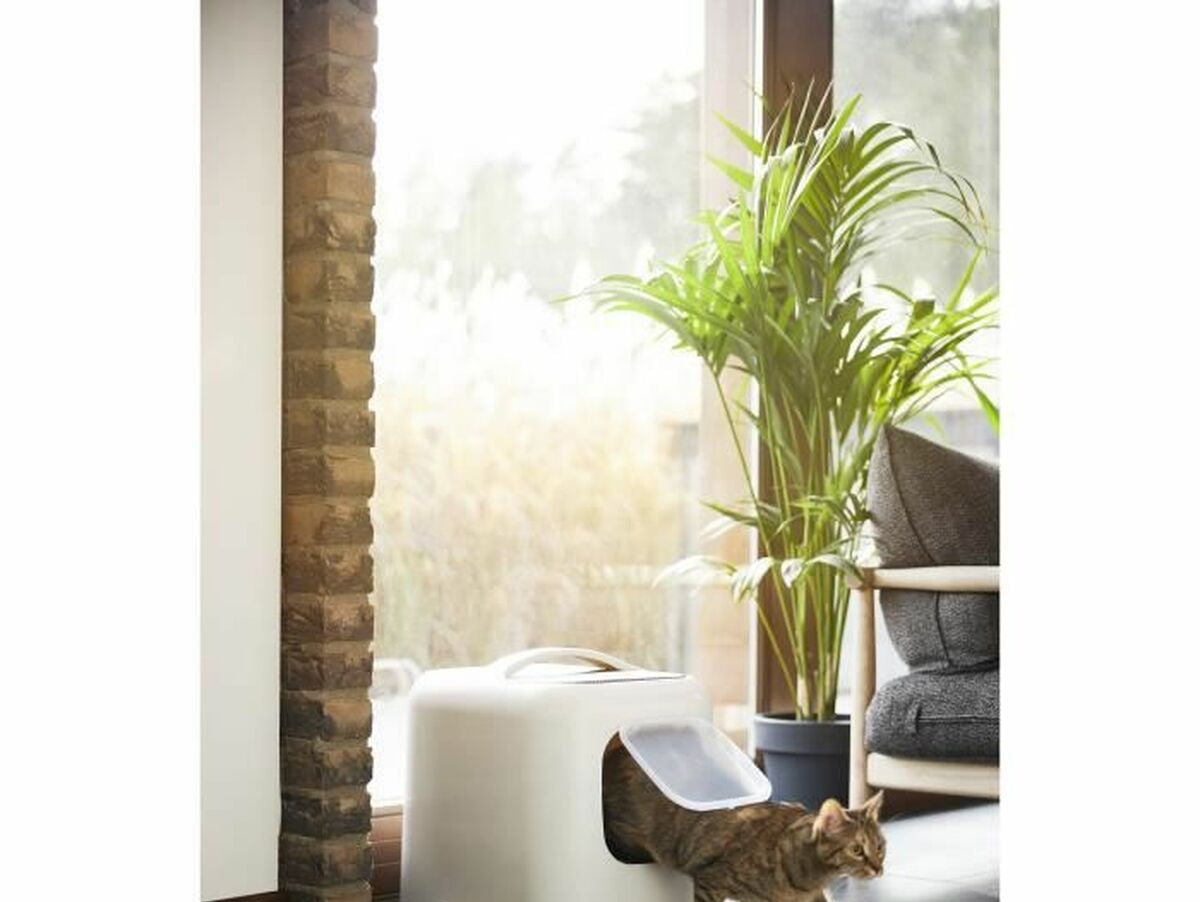 V7H1C424E0A862909C960510B4FEE220DECR6578761P2