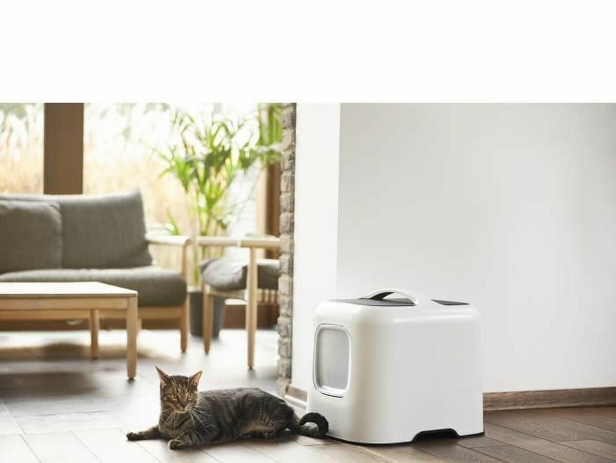 V7HC7AFDBD169480332B2239FB44ADC6A24R6578764P4