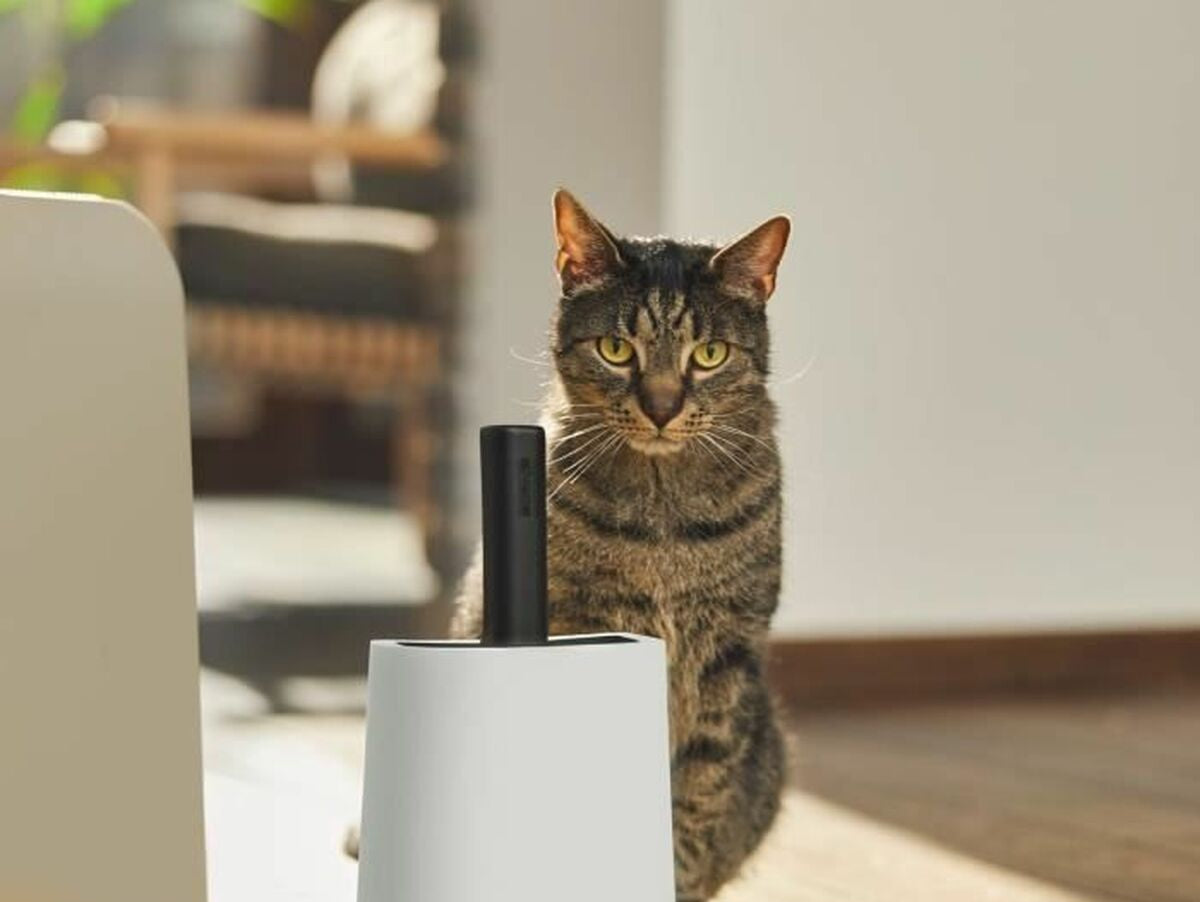 V6H8F9515A23FDDDEE9BEBE0C2C6F3D9200R5405260P2