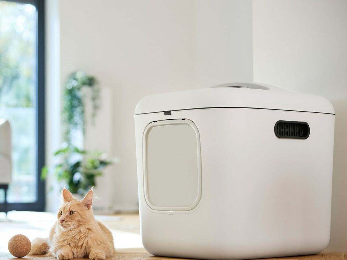 V5HCB5CFD2BDED03D4B8B928F9B078A7DADR5624129P5