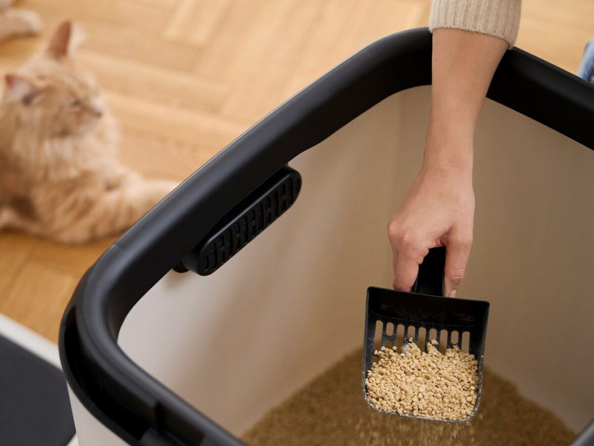 V5HBE2C3BCE5AB134103BA55AE7D326D6BER5624130P6