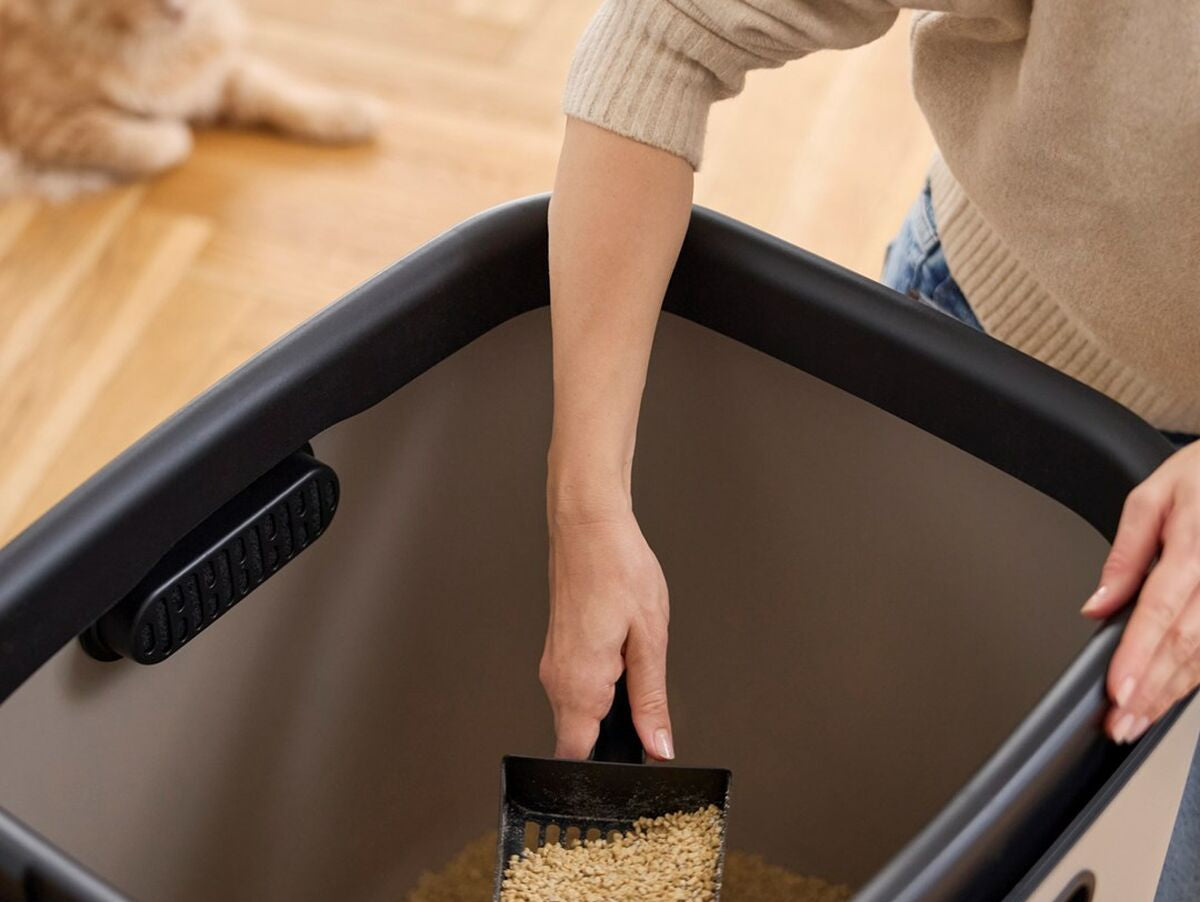 V5H6B8DBD50255CD097A3EB9475394E0493R5624216P5