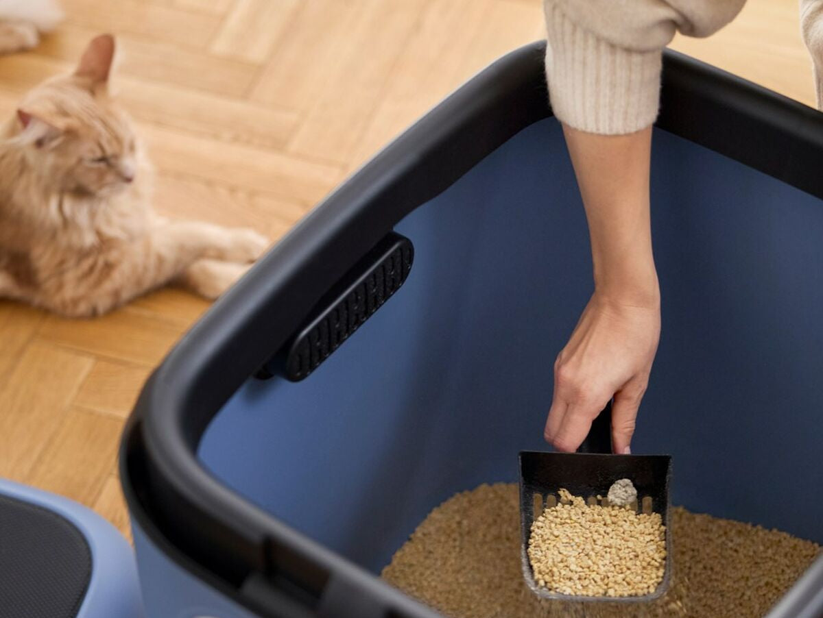 V5H59275B2F91D256D2110CA65B0011F808R5624207P7